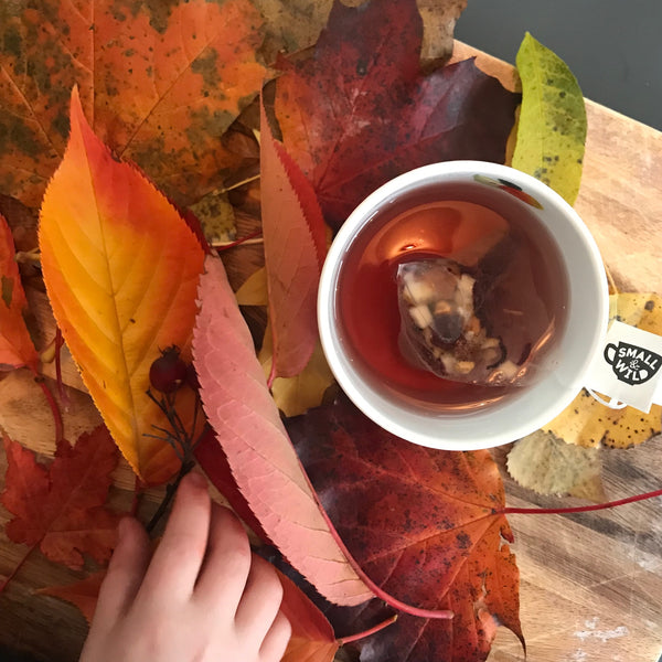 Perfect Autumnal Teas for Kids